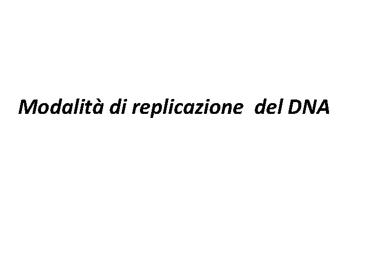Modalità di replicazione del DNA 