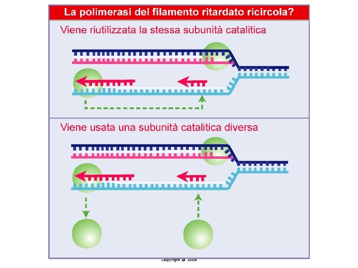 Lewin, IL GENE VIII, Zanichelli editore S. p. A. Copyright © 2006 