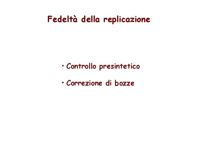 Fedeltà della replicazione • Controllo presintetico • Correzione di bozze 