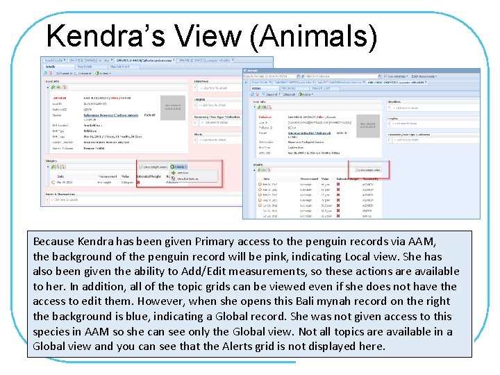 Kendra’s View (Animals) Because Kendra has been given Primary access to the penguin records