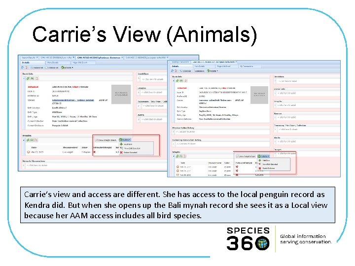 Carrie’s View (Animals) Carrie’s view and access are different. She has access to the