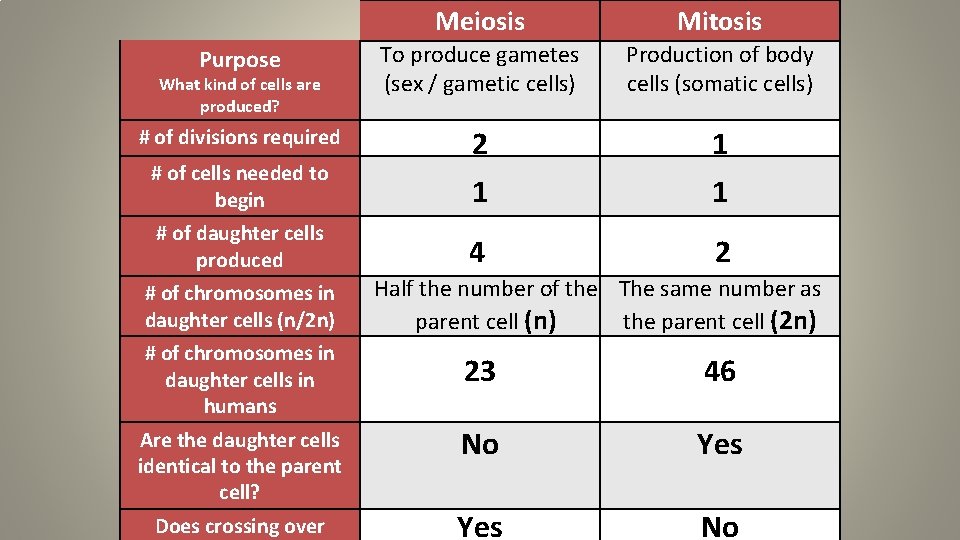 Meiosis Mitosis Purpose To produce gametes (sex / gametic cells) Production of body cells