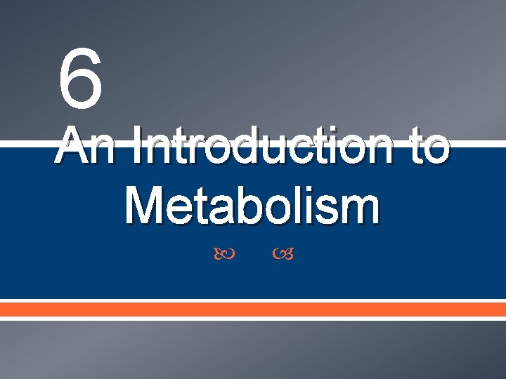 6 An Introduction to Metabolism 