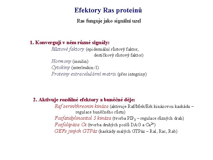 Efektory Ras proteinů Ras funguje jako signální uzel 1. Konvergují v něm různé signály: