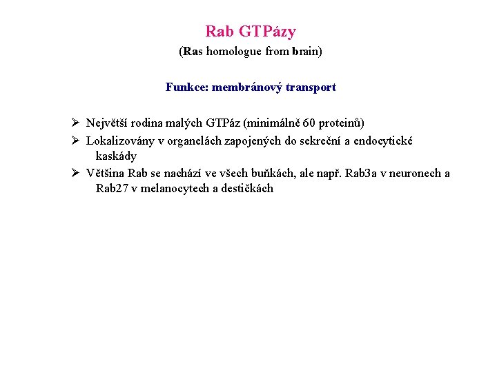 Rab GTPázy (Ras homologue from brain) Funkce: membránový transport Ø Největší rodina malých GTPáz