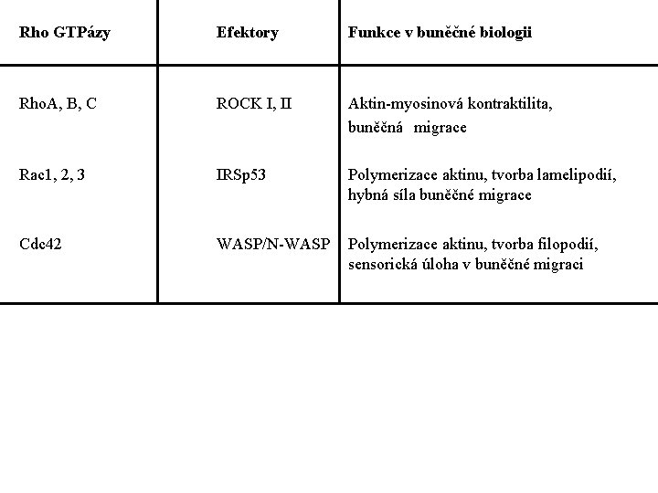 Rho GTPázy Efektory Funkce v buněčné biologii Rho. A, B, C ROCK I, II