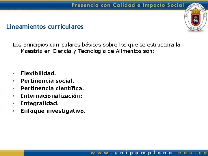 Lineamientos curriculares Los principios curriculares básicos sobre los que se estructura la Maestría en