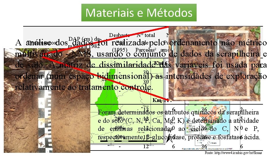 Materiais e Métodos DAP (cm) da madeira 1982 Desbaste N° total N° de Área