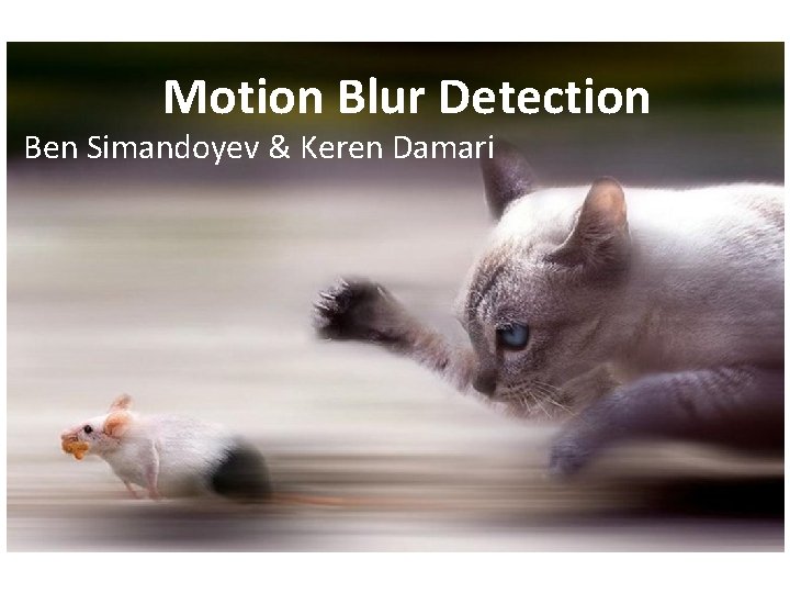 Motion Blur Detection Ben Simandoyev & Keren Damari 