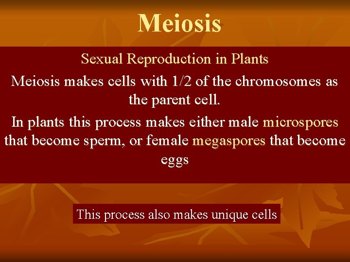 Meiosis Sexual Reproduction in Plants Meiosis makes cells with 1/2 of the chromosomes as