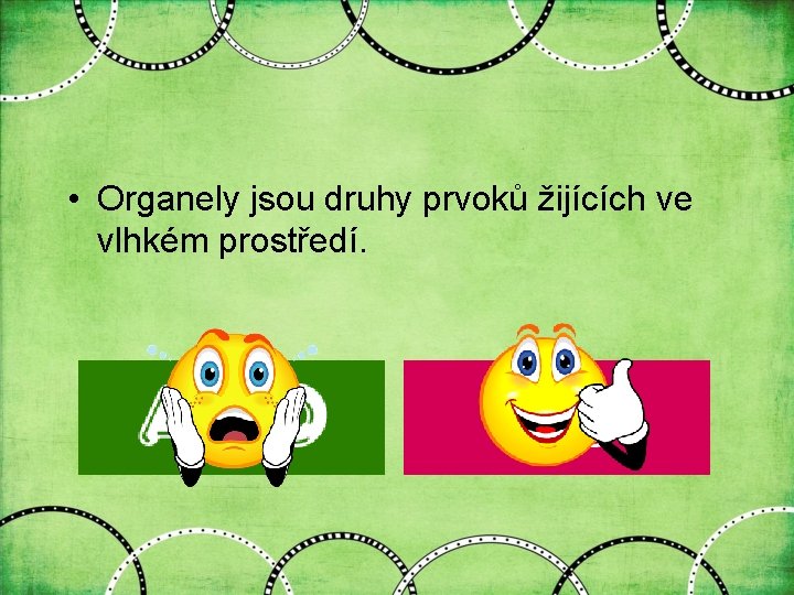  • Organely jsou druhy prvoků žijících ve vlhkém prostředí. 