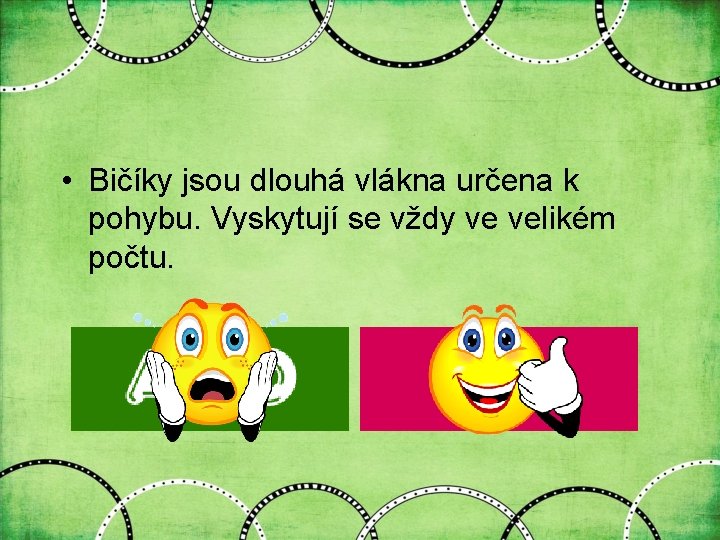  • Bičíky jsou dlouhá vlákna určena k pohybu. Vyskytují se vždy ve velikém