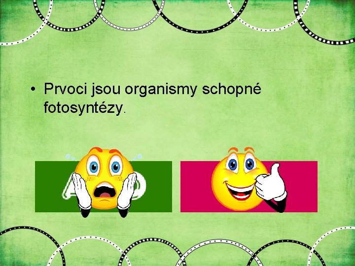  • Prvoci jsou organismy schopné fotosyntézy. 