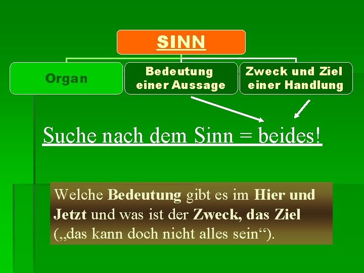 SINN Organ Bedeutung einer Aussage Zweck und Ziel einer Handlung Suche nach dem Sinn