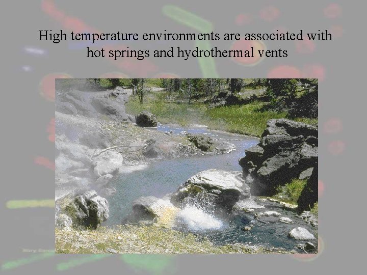 High temperature environments are associated with hot springs and hydrothermal vents 