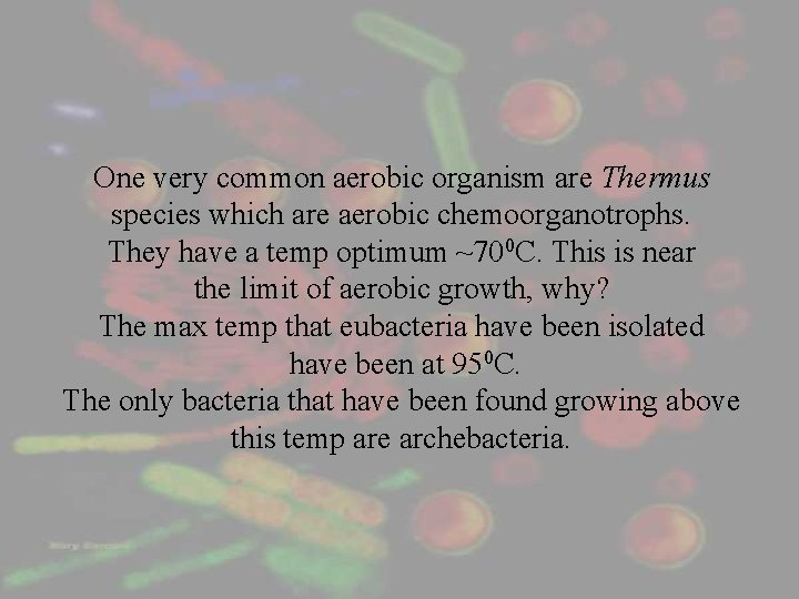 One very common aerobic organism are Thermus species which are aerobic chemoorganotrophs. They have