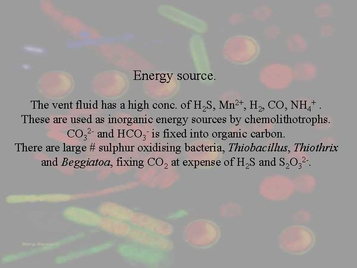 Energy source. The vent fluid has a high conc. of H 2 S, Mn