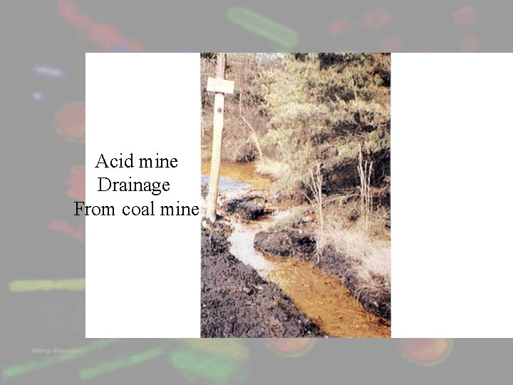 Acid mine Drainage From coal mine 