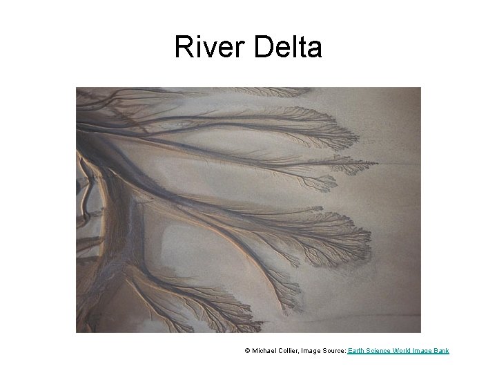 River Delta © Michael Collier, Image Source: Earth Science World Image Bank 