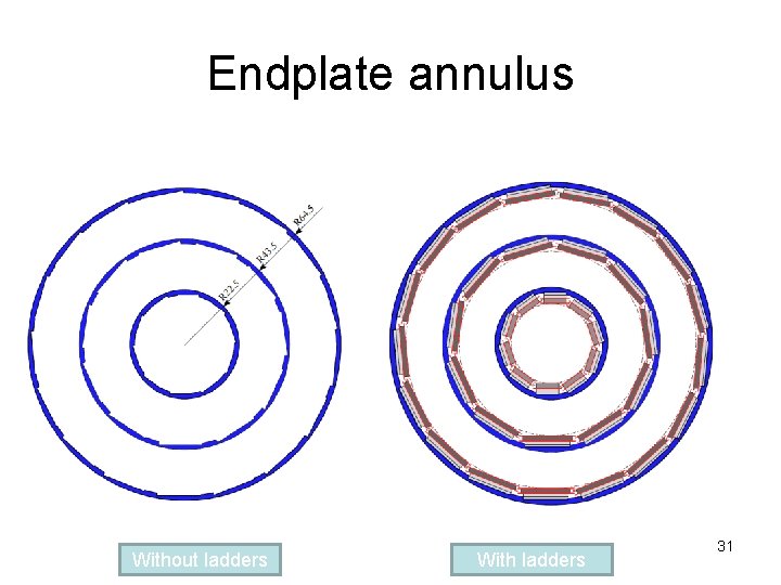 Endplate annulus Without ladders With ladders 31 