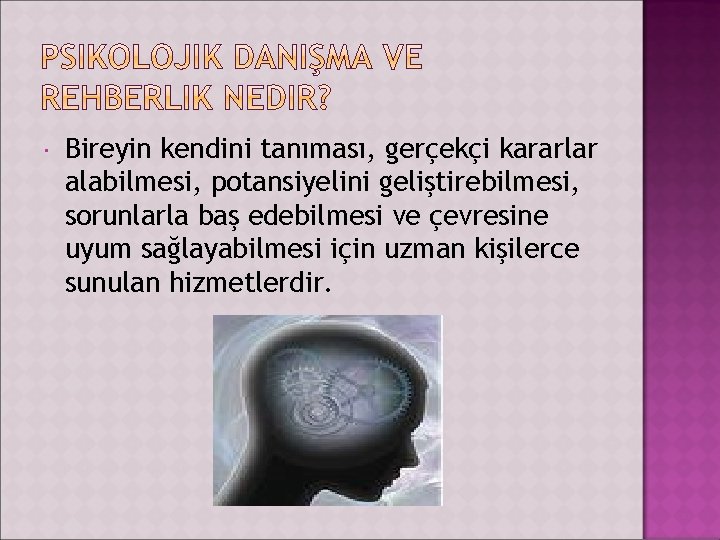  Bireyin kendini tanıması, gerçekçi kararlar alabilmesi, potansiyelini geliştirebilmesi, sorunlarla baş edebilmesi ve çevresine