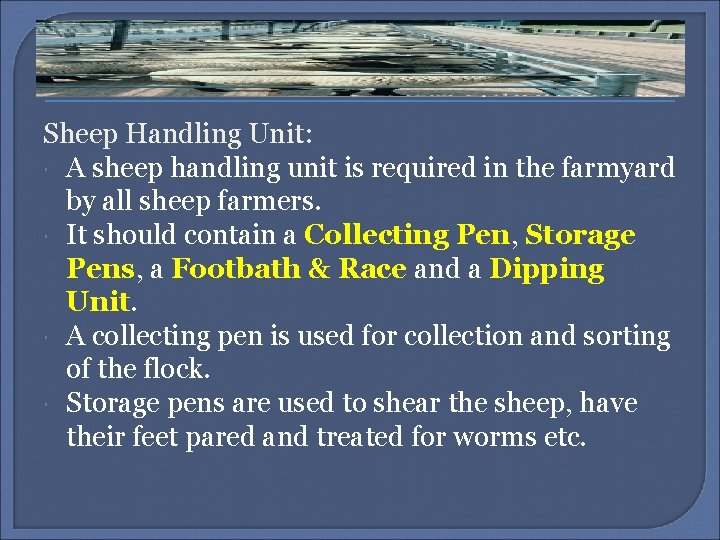 Sheep Handling Unit: A sheep handling unit is required in the farmyard by all