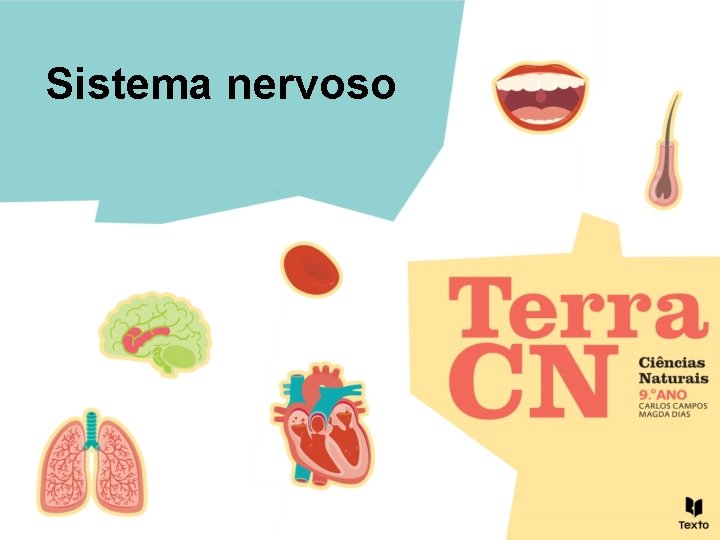 Sistema nervoso 