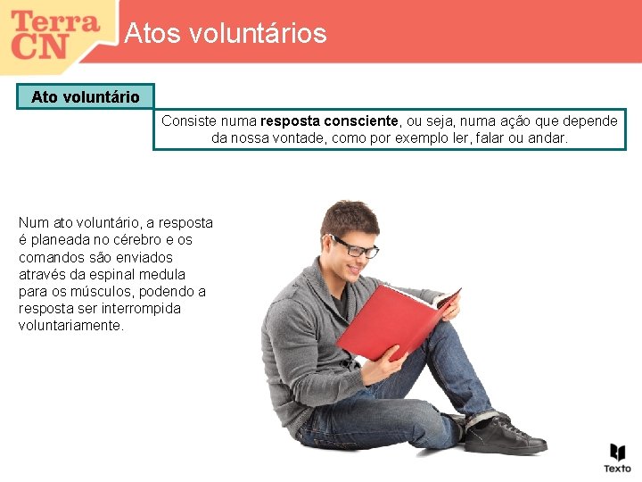 Atos voluntários Ato voluntário Consiste numa resposta consciente, ou seja, numa ação que depende