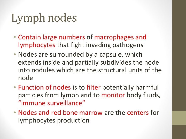 Lymph nodes • Contain large numbers of macrophages and lymphocytes that fight invading pathogens