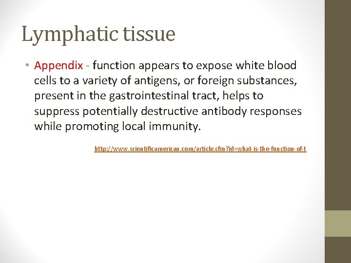 Lymphatic tissue • Appendix - function appears to expose white blood cells to a