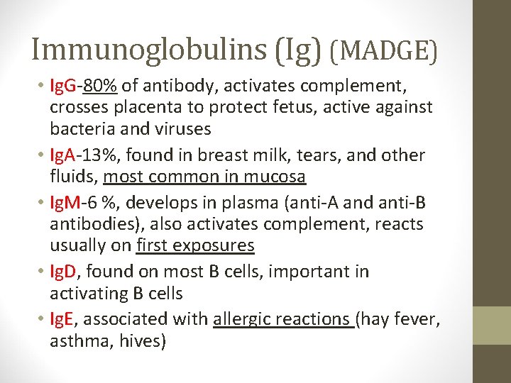 Immunoglobulins (Ig) (MADGE) • Ig. G-80% of antibody, activates complement, crosses placenta to protect