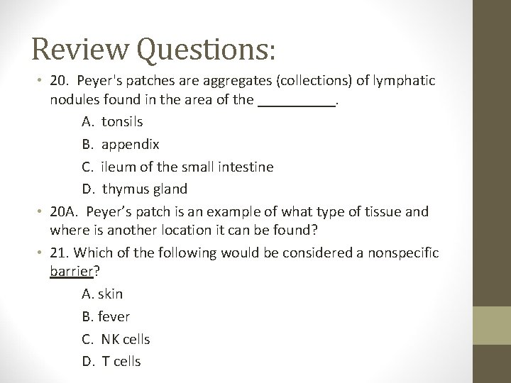 Review Questions: • 20. Peyer's patches are aggregates (collections) of lymphatic nodules found in