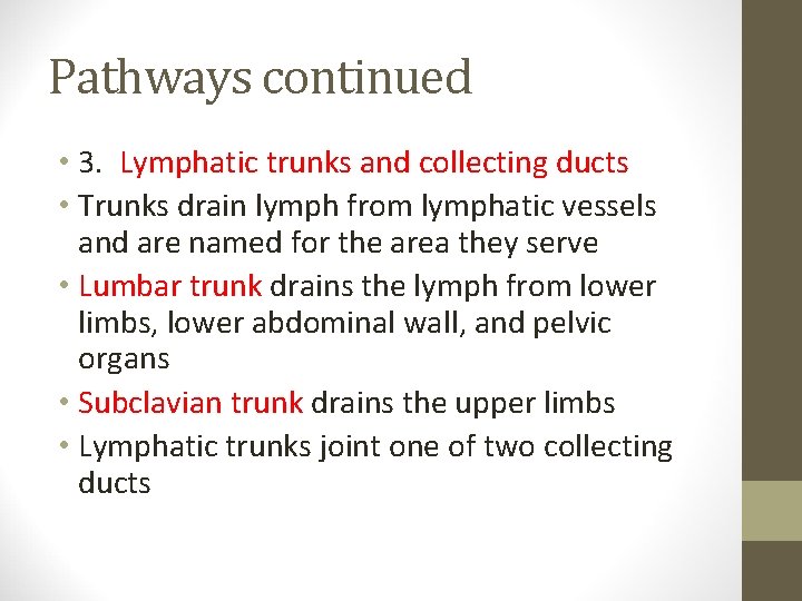 Pathways continued • 3. Lymphatic trunks and collecting ducts • Trunks drain lymph from