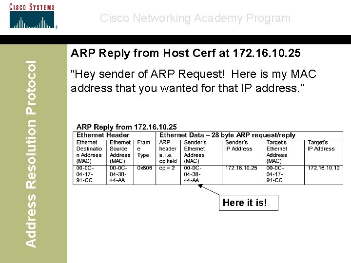 Cisco Networking Academy Program Address Resolution Protocol ARP Reply from Host Cerf at 172.
