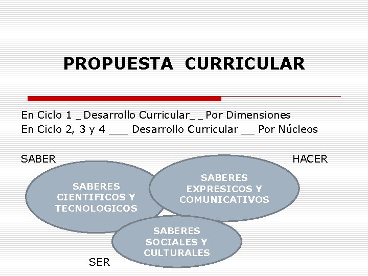 PROPUESTA CURRICULAR En Ciclo 1 _ Desarrollo Curricular_ _ Por Dimensiones En Ciclo 2,