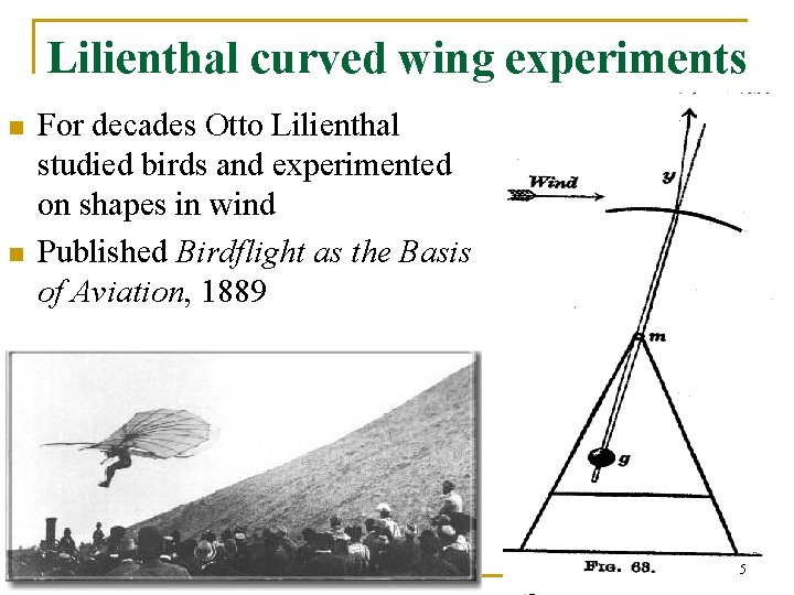 Lilienthal curved wing experiments n n For decades Otto Lilienthal studied birds and experimented