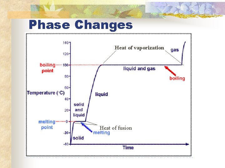Phase Changes Heat of vaporization Heat of fusion 