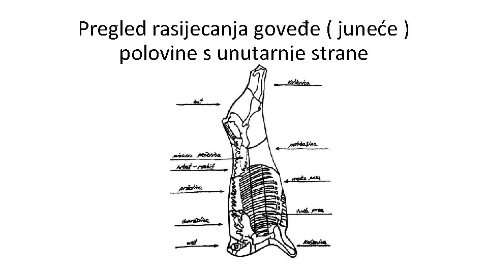 Pregled rasijecanja goveđe ( juneće ) polovine s unutarnje strane Pregled rasijecanja goveđe ( juneće ) polovine s unutarnje strane