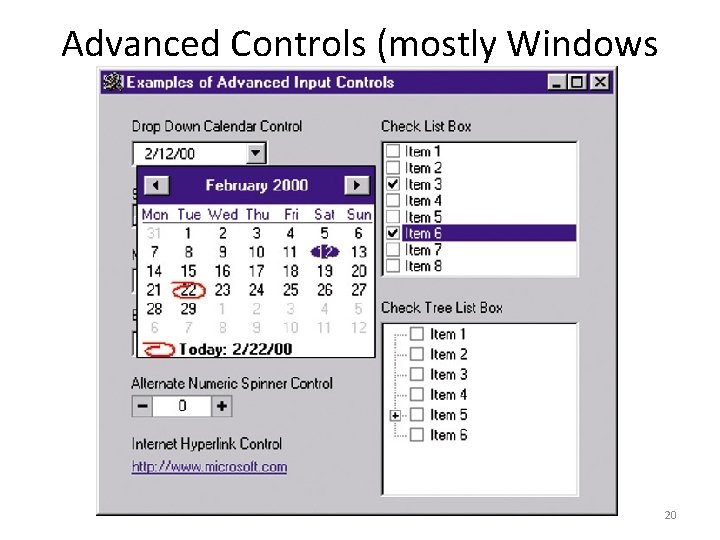 Advanced Controls (mostly Windows interfaces) 20 