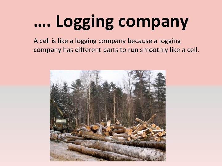 …. Logging company A cell is like a logging company because a logging company