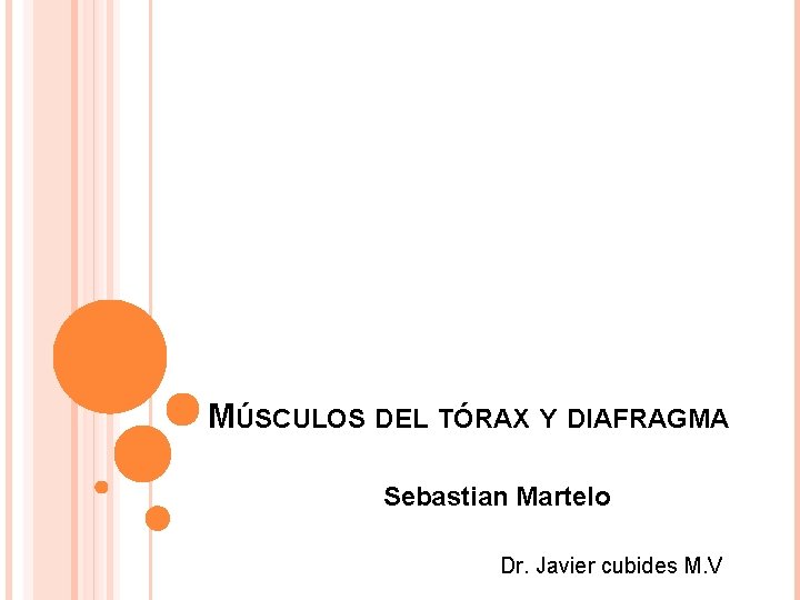 MÚSCULOS DEL TÓRAX Y DIAFRAGMA Sebastian Martelo Dr. Javier cubides M. V 