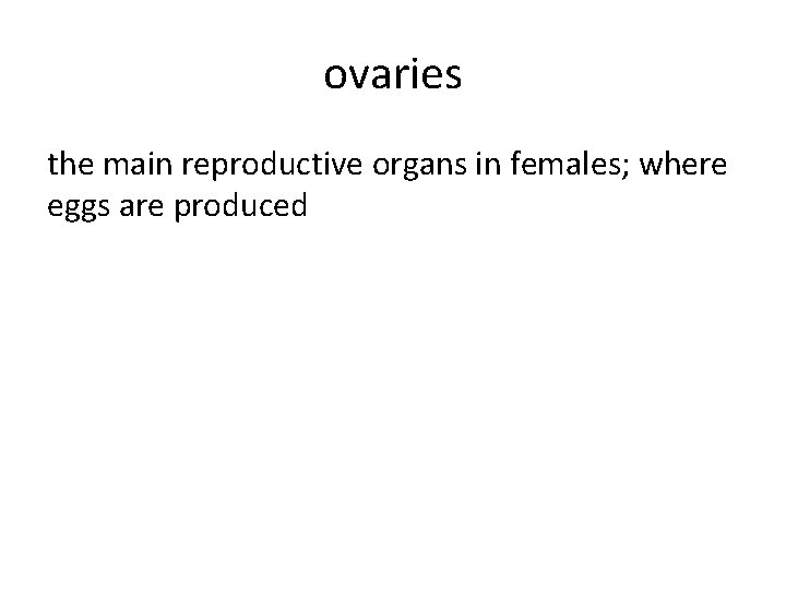 ovaries the main reproductive organs in females; where eggs are produced 