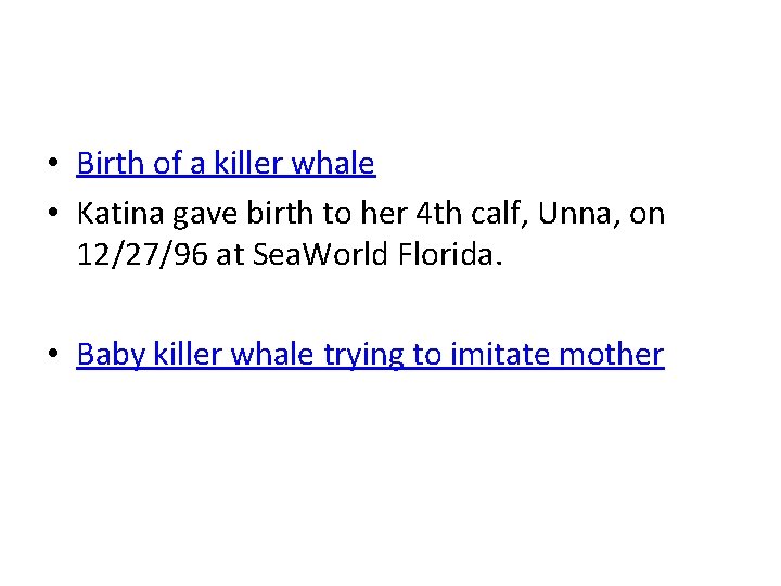  • Birth of a killer whale • Katina gave birth to her 4