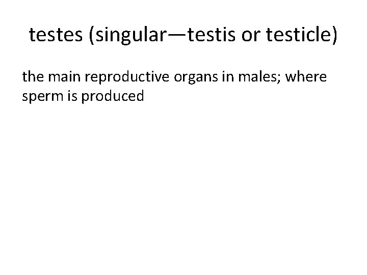 testes (singular—testis or testicle) the main reproductive organs in males; where sperm is produced