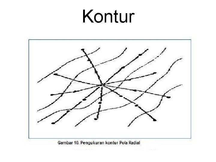 Kontur 