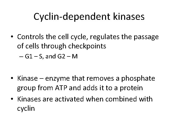 Cyclin-dependent kinases • Controls the cell cycle, regulates the passage of cells through checkpoints