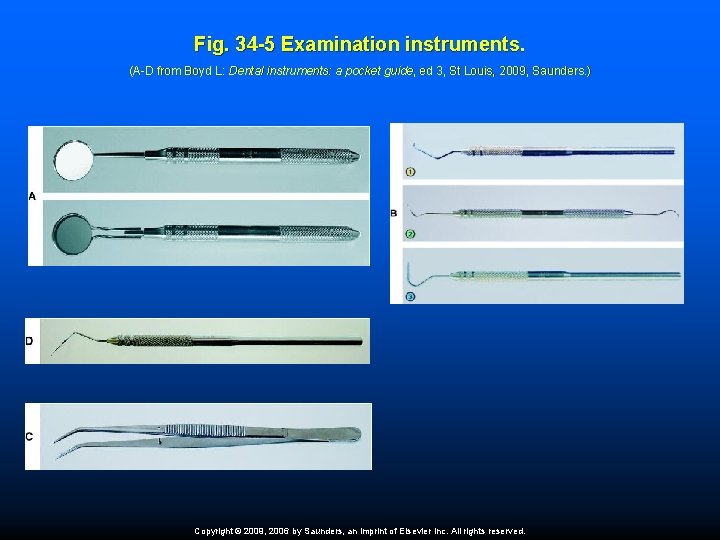 Fig. 34 -5 Examination instruments. (A-D from Boyd L: Dental instruments: a pocket guide,