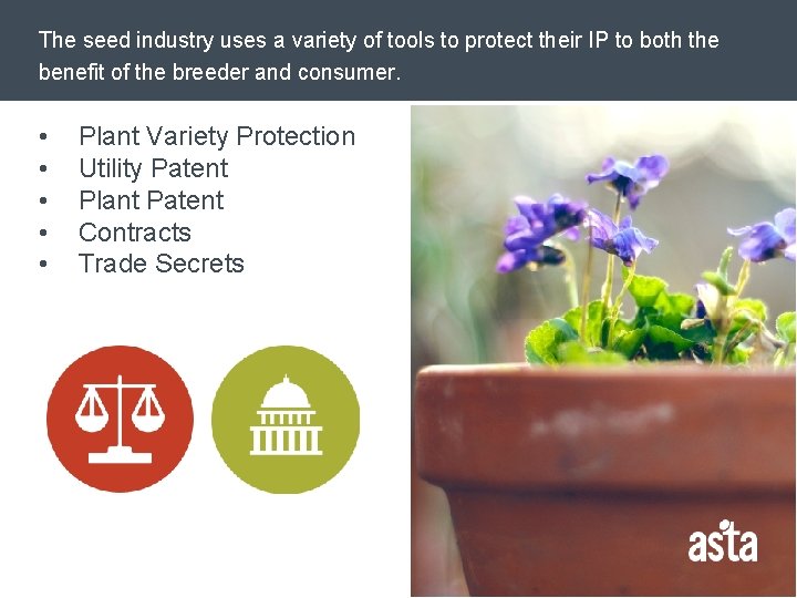 The seed industry uses a variety of tools to protect their IP to both