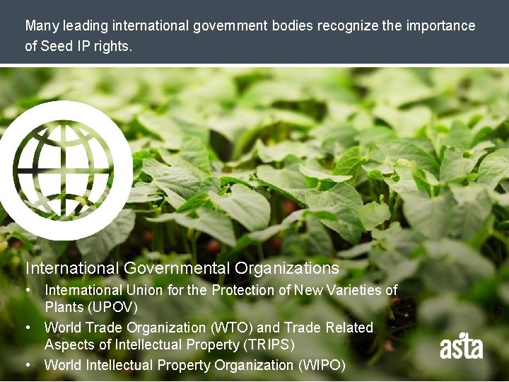 Many leading international government bodies recognize the importance of Seed IP rights. International Governmental