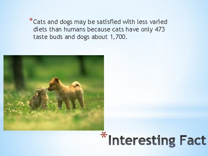 *Cats and dogs may be satisfied with less varied diets than humans because cats